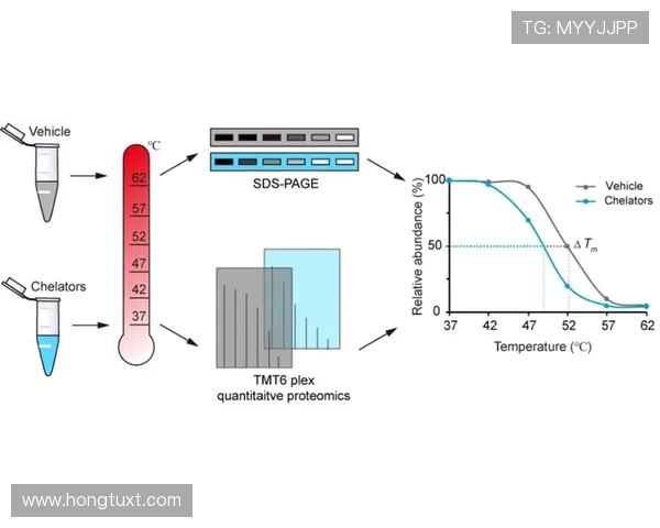 武汉街舞队配合表现的数据分析与团队协作研究